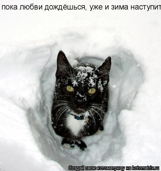 пока любви дождёшься, уже и зима наступит...... Котоматрица: пока любви дождёшься, уже и зима наступит...