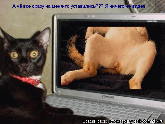 А чё все сразу на меня-то уставились??? Я ничего не видел... Котоматрица: А чё все сразу на меня-то уставились??? Я ничего не видел