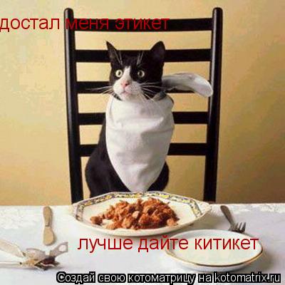 достал меня этикет лучше дайте китикет... Котоматрица: достал меня этикет лучше дайте китикет