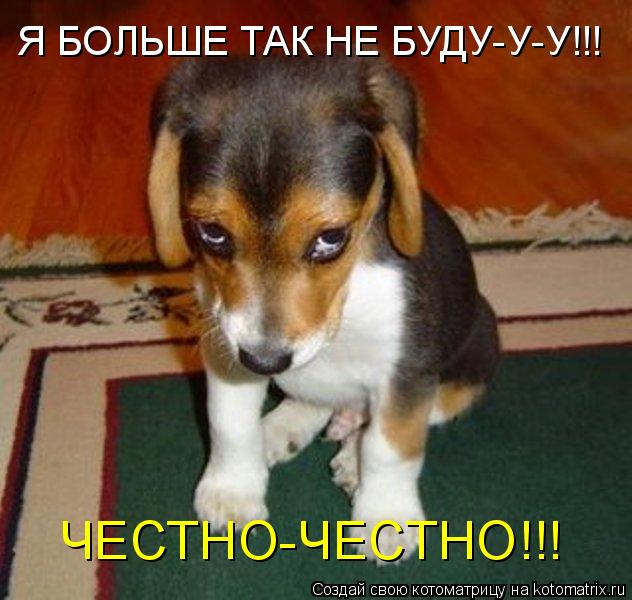 Я БОЛЬШЕ ТАК НЕ БУДУ-У-У!!! ЧЕСТНО-ЧЕСТНО!!!... Котоматрица: Я БОЛЬШЕ ТАК НЕ БУДУ-У-У!!! ЧЕСТНО-ЧЕСТНО!!!