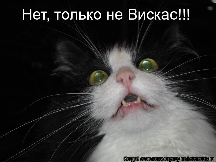 Нет, только не Вискас!!!... Котоматрица: Нет, только не Вискас!!!