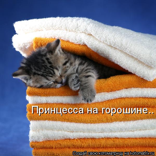 Принцесса на горошине..... Котоматрица: Принцесса на горошине..