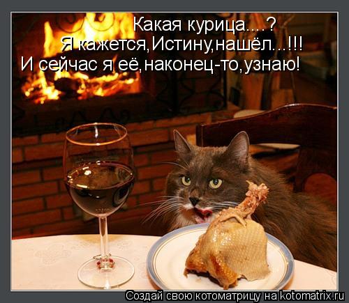 Какая курица....? Я кажется,Истину,нашёл...!!! И сейчас я её,наконец-то,узнаю!... Котоматрица: Какая курица....? Я кажется,Истину,нашёл...!!! И сейчас я её,наконец-то,узнаю!