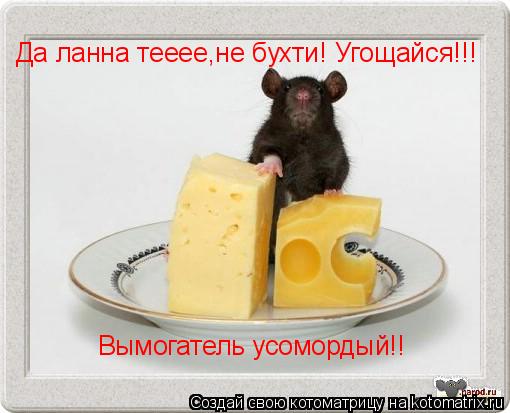 Да ланна тееее,не бухти! Угощайся!!! Вымогатель усомордый!!... Котоматрица: Да ланна тееее,не бухти! Угощайся!!! Вымогатель усомордый!!