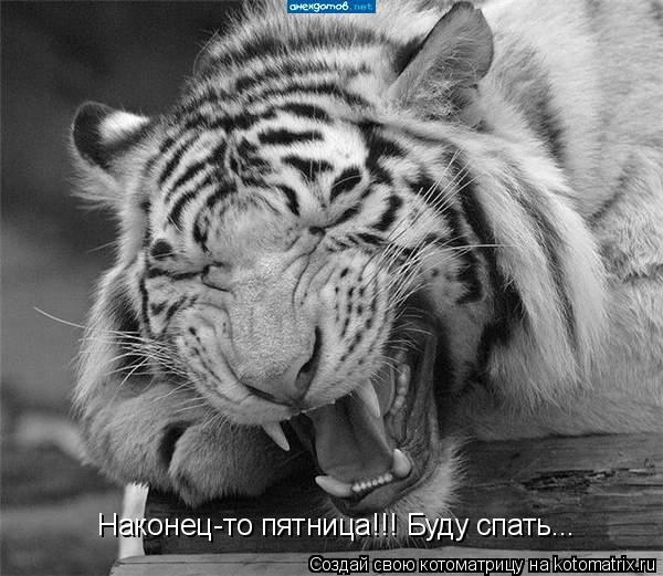 Наконец-то пятница!!! Буду спать...... Котоматрица: Наконец-то пятница!!! Буду спать...