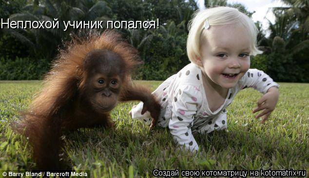 Неплохой учиник попался!... Котоматрица: Неплохой учиник попался!