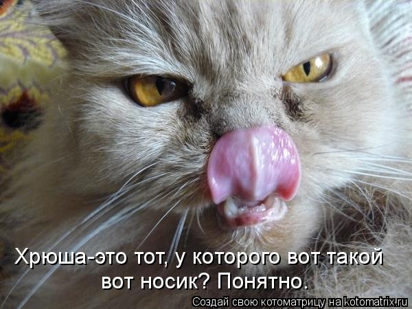 Хрюша-это тот, у которого вот такой вот носик? Понятно.... Котоматрица: Хрюша-это тот, у которого вот такой вот носик? Понятно.