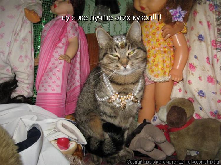 ну я же лучше этих кукол!!!!... Котоматрица: ну я же лучше этих кукол!!!!