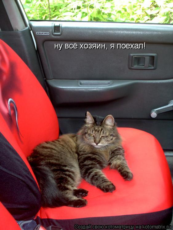 ну всё хозяин, я поехал!... Котоматрица: ну всё хозяин, я поехал!