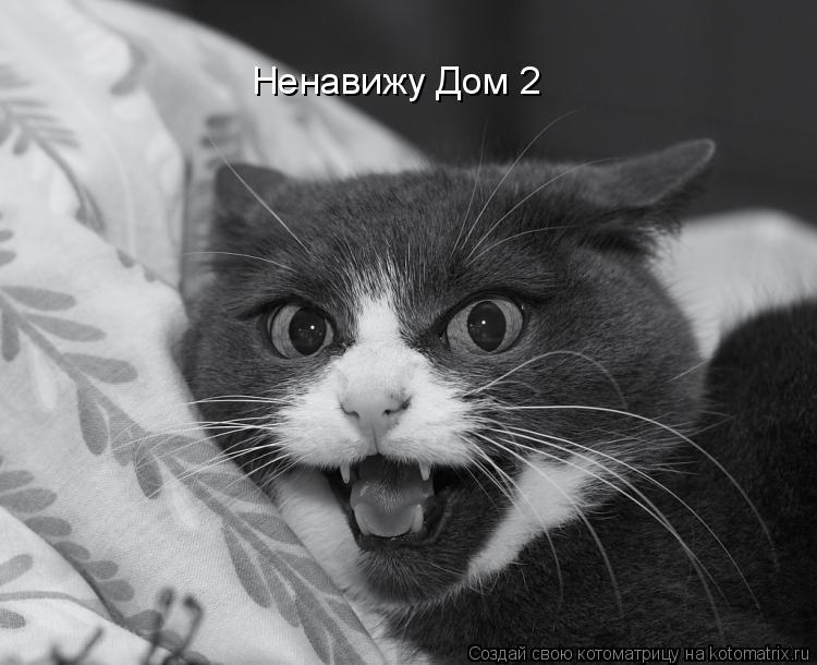 Ненавижу Дом 2... Котоматрица: Ненавижу Дом 2