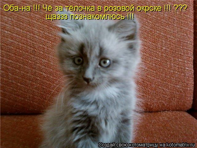 Оба-на !!! Чё за тёлочка в розовой окрске !!! ??? щаззз познакомлюсь !!!... Котоматрица: Оба-на !!! Чё за тёлочка в розовой окрске !!! ??? щаззз познакомлюсь !!!