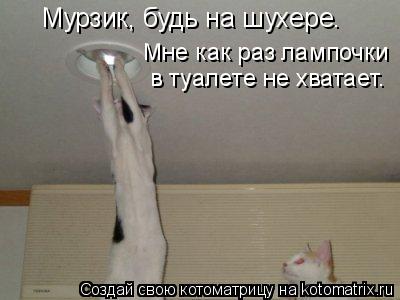 Мурзик, будь на шухере. Мне как раз лампочки в туалете не хватает.... Котоматрица: Мурзик, будь на шухере. Мне как раз лампочки в туалете не хватает.