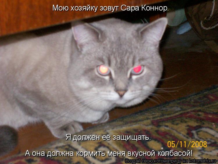 Мою хозяйку зовут Сара Коннор. Я должен её защищать. А она должна кормить меня вкусной колбасой!... Котоматрица: Мою хозяйку зовут Сара Коннор. Я должен её защищать. А она должна кормить меня вкусной колбасой!