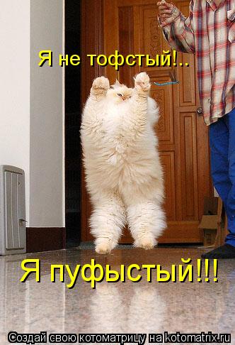 Я пуфыстый!!! Я не тофстый!..... Котоматрица: Я пуфыстый!!! Я не тофстый!..