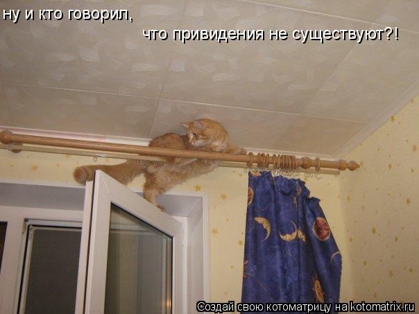 ну и кто говорил, что привидения не существуют?!... Котоматрица: ну и кто говорил, что привидения не существуют?!