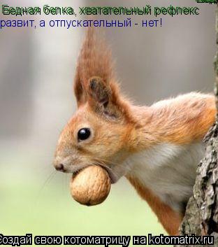 Бедная белка, хватательный рефлекс Бедная белка, хватательный рефлекс Бедная белка, хватательный ре... Котоматрица: Бедная белка, хватательный рефлекс Бедная белка, хватательный рефлекс Бедная белка, хватательный рефлекс развит, а отпускательный - нет!