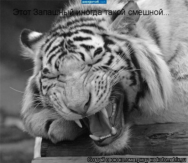 Этот Запашный иногда такой смешной...... Котоматрица: Этот Запашный иногда такой смешной...