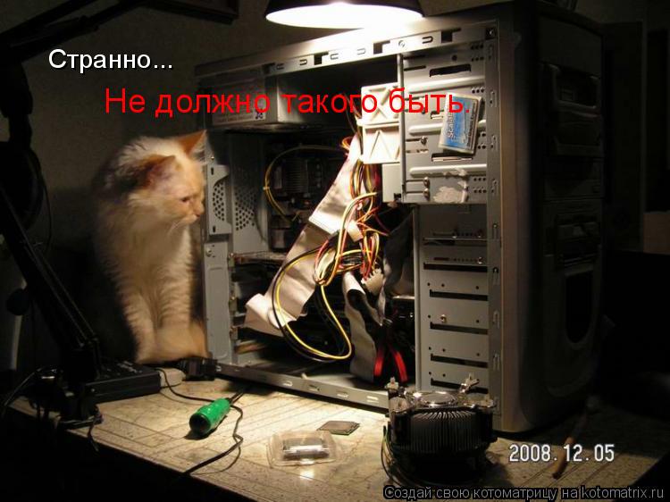 Странно... Не должно такого быть.... Котоматрица: Странно... Не должно такого быть.