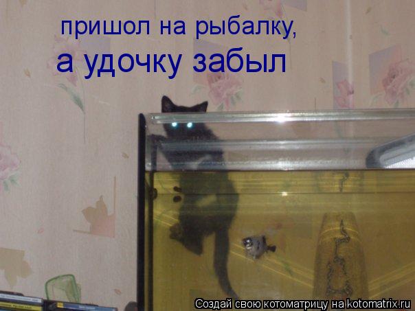 пришол на рыбалку, а удочку забыл... Котоматрица: пришол на рыбалку, а удочку забыл