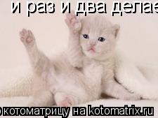и раз и два делаем гимнастику по утрам......наверно это полезно и раз и два делаем гимнастику по утр... Котоматрица: и раз и два делаем гимнастику по утрам......наверно это полезно и раз и два делаем гимнастику по утрам......наверно это полезно