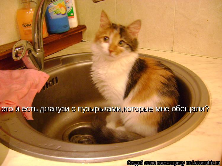 это и есть джакузи с пузырьками,которые мне обещали?... Котоматрица: это и есть джакузи с пузырьками,которые мне обещали?