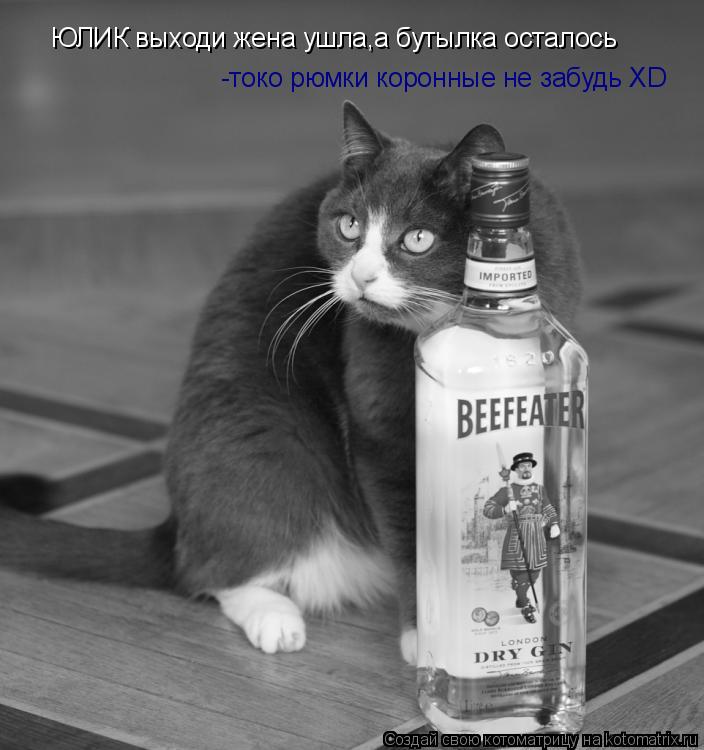 ЮЛИК выходи жена ушла,а бутылка осталось -токо рюмки коронные не забудь XD... Котоматрица: ЮЛИК выходи жена ушла,а бутылка осталось -токо рюмки коронные не забудь XD