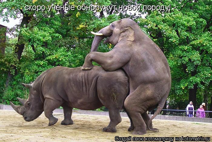 скоро ученые обноружут новой породу!... Котоматрица: скоро ученые обноружут новой породу!