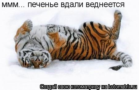 ммм... печенье вдали веднеется... Котоматрица: ммм... печенье вдали веднеется