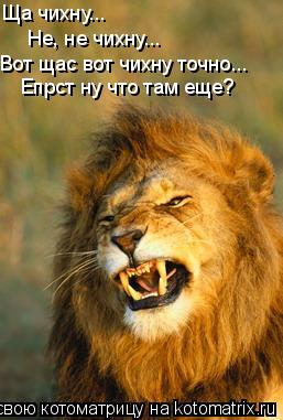 Ща чихну... Ща чихну... Не, не чихну... Вот щас вот чихну точно... Епрст ну что там еще?... Котоматрица: Ща чихну... Ща чихну... Не, не чихну... Вот щас вот чихну точно... Епрст ну что там еще?