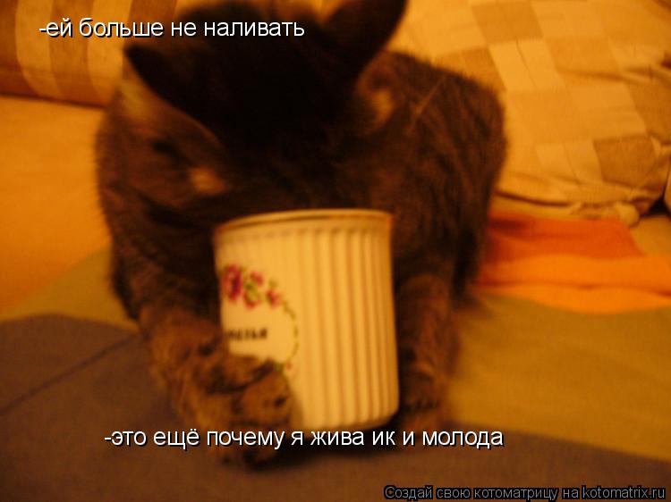 -ей больше не наливать -это ещё почему я жива ик и молода... Котоматрица: -ей больше не наливать -это ещё почему я жива ик и молода