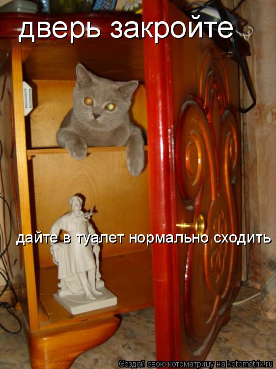 дверь закройте дайте в туалет нормально сходить... Котоматрица: дверь закройте дайте в туалет нормально сходить
