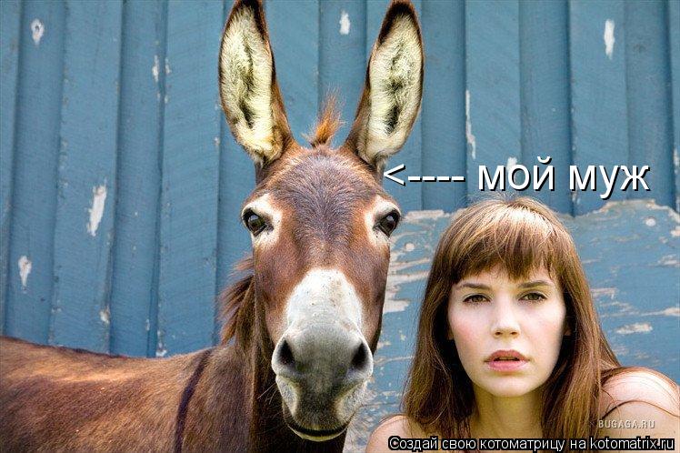 <---- мой муж... Котоматрица: <---- мой муж