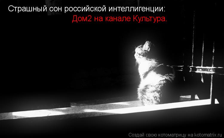 Страшный сон российской интеллигенции: Дом2 на канале Культура.... Котоматрица: Страшный сон российской интеллигенции: Дом2 на канале Культура.