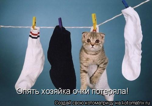 Опять хозяйка очки потеряла!... Котоматрица: Опять хозяйка очки потеряла!