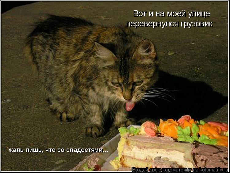 Вот и на моей улице перевернулся грузовик жаль лишь, что со сладостями...... Котоматрица: Вот и на моей улице перевернулся грузовик жаль лишь, что со сладостями...