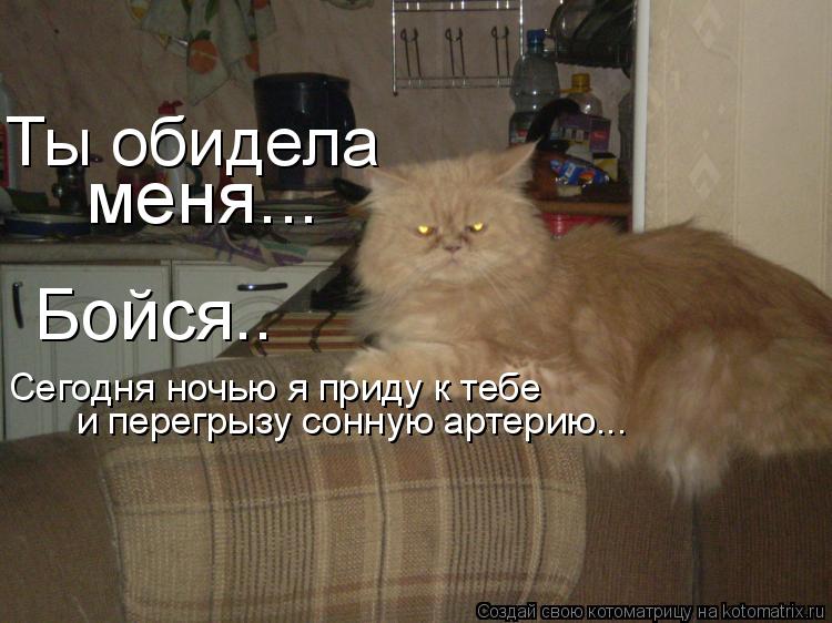 Сегодня ночью я приду к тебе и перегрызу сонную артерию... Бойся.. Ты обидела меня...... Котоматрица: Сегодня ночью я приду к тебе и перегрызу сонную артерию... Бойся.. Ты обидела меня...