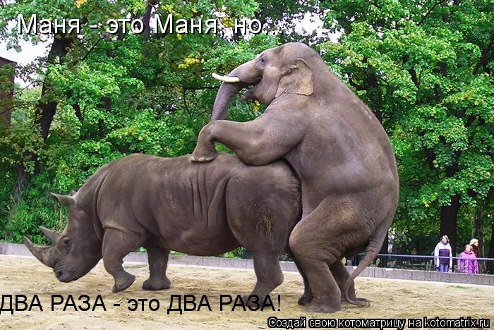 Маня - это Маня, но... ДВА РАЗА - это ДВА РАЗА!... Котоматрица: Маня - это Маня, но... ДВА РАЗА - это ДВА РАЗА!