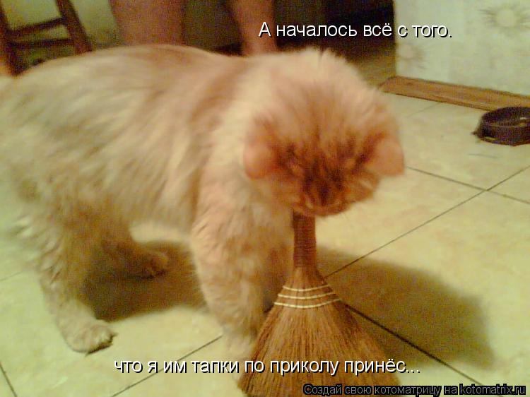 А началось всё с того. что я им тапки по приколу принёс...... Котоматрица: А началось всё с того. что я им тапки по приколу принёс...