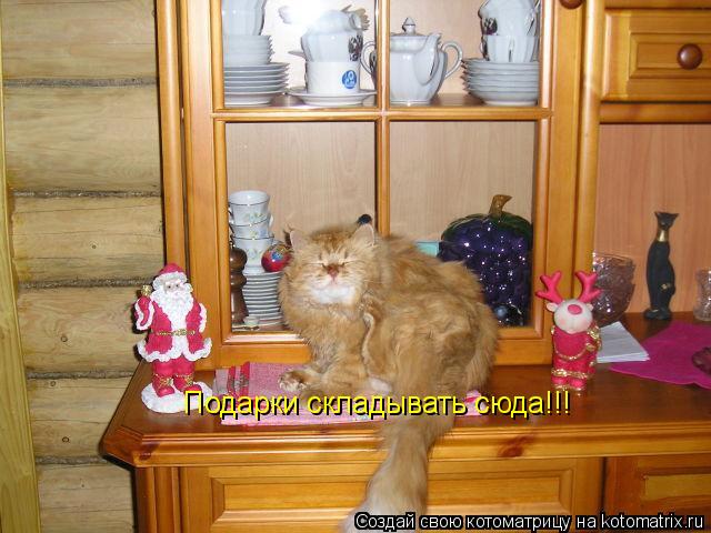 Подарки складывать сюда!!!... Котоматрица: Подарки складывать сюда!!!