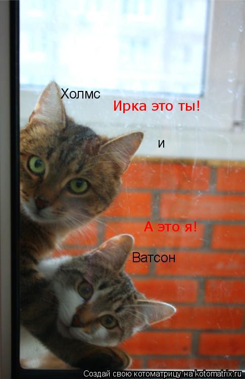 Ирка это ты! А это я!... Котоматрица: Ирка это ты! А это я!