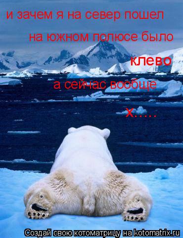 и зачем я на север пошел на южном полюсе было клево а сейчас вообще х........ Котоматрица: и зачем я на север пошел на южном полюсе было клево а сейчас вообще х.....