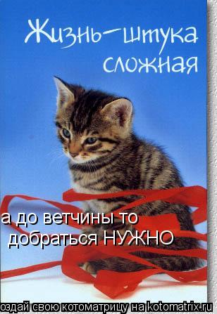 а до ветчины то добраться НУЖНО... Котоматрица: а до ветчины то добраться НУЖНО