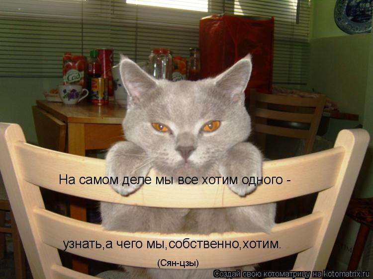 На самом деле мы все хотим одного - узнать,а чего мы,собственно,хотим. (Сян-цзы)... Котоматрица: На самом деле мы все хотим одного - узнать,а чего мы,собственно,хотим. (Сян-цзы)