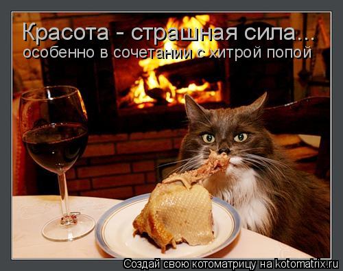 Красота - страшная сила... особенно в сочетании с хитрой попой... Котоматрица: Красота - страшная сила... особенно в сочетании с хитрой попой