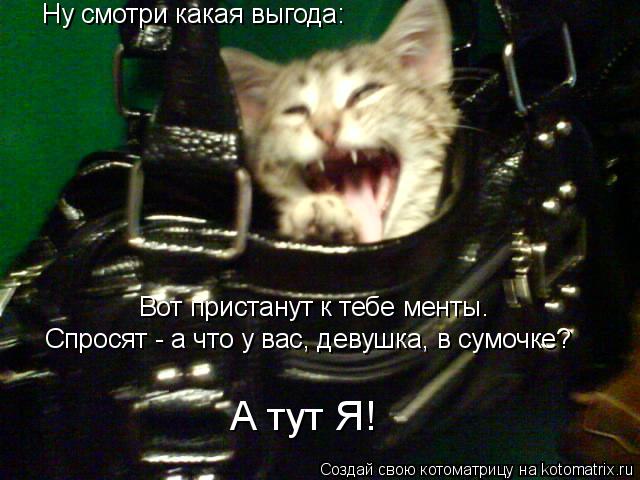 Ну смотри какая выгода: Вот пристанут к тебе менты. Спросят - а что у вас, девушка, в сумочке? А тут ... Котоматрица: Ну смотри какая выгода: Вот пристанут к тебе менты. Спросят - а что у вас, девушка, в сумочке? А тут Я!