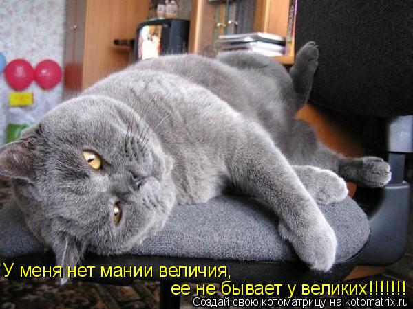 У меня нет мании величия, ее не бывает у великих!!!!!!!... Котоматрица: У меня нет мании величия, ее не бывает у великих!!!!!!!