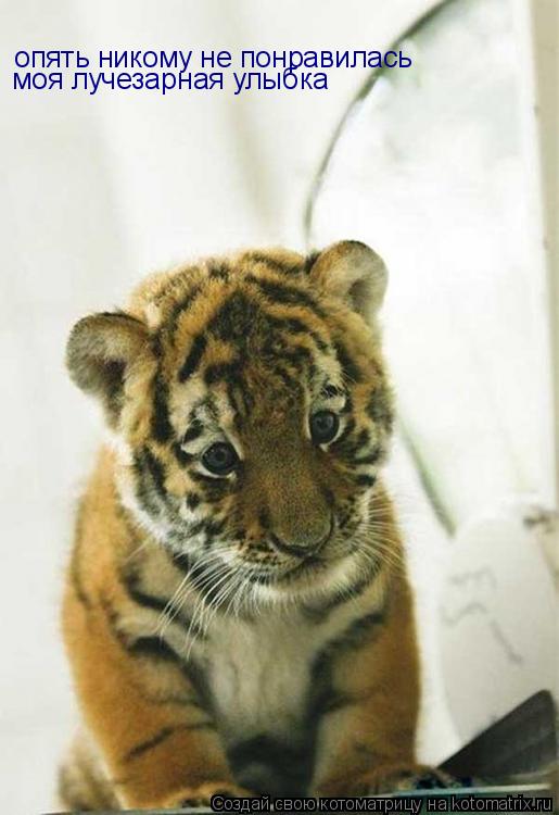 опять никому не понравилась моя лучезарная улыбка... Котоматрица: опять никому не понравилась моя лучезарная улыбка