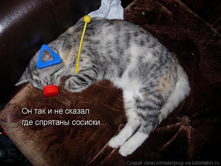 где спрятаны сосиски... Он так и не сказал... Котоматрица: где спрятаны сосиски... Он так и не сказал