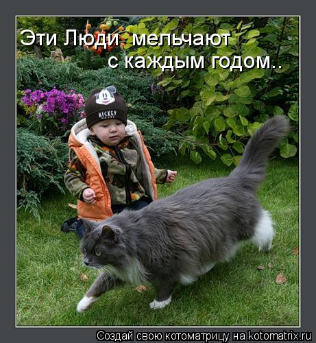 с каждым годом.. Эти Люди мельчают... Котоматрица: с каждым годом.. Эти Люди мельчают