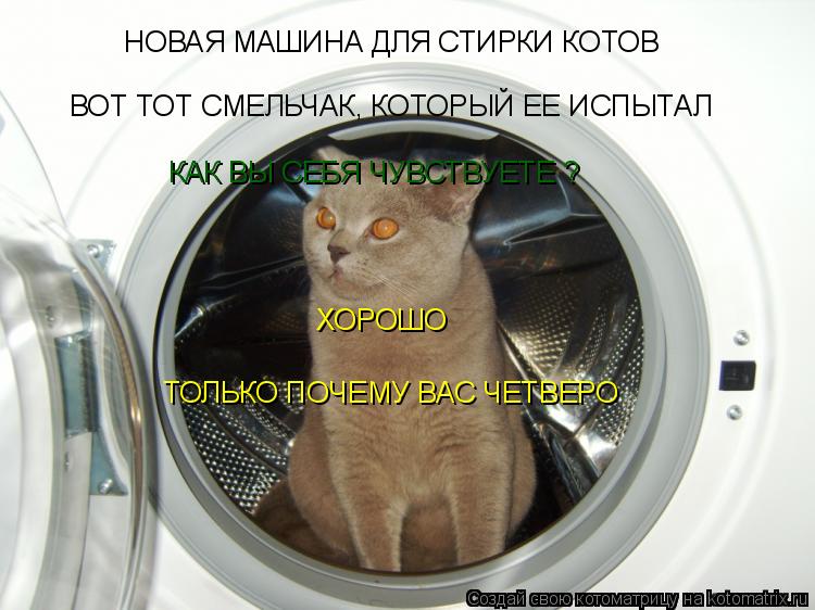 НОВАЯ МАШИНА ДЛЯ СТИРКИ КОТОВ ВОТ ТОТ СМЕЛЬЧАК, КОТОРЫЙ ЕЕ ИСПЫТАЛ КАК ВЫ СЕБЯ ЧУВСТВУЕТЕ ? ХОРОШО ТО... Котоматрица: НОВАЯ МАШИНА ДЛЯ СТИРКИ КОТОВ ВОТ ТОТ СМЕЛЬЧАК, КОТОРЫЙ ЕЕ ИСПЫТАЛ КАК ВЫ СЕБЯ ЧУВСТВУЕТЕ ? ХОРОШО ТОЛЬКО ПОЧЕМУ ВАС ЧЕТВЕРО